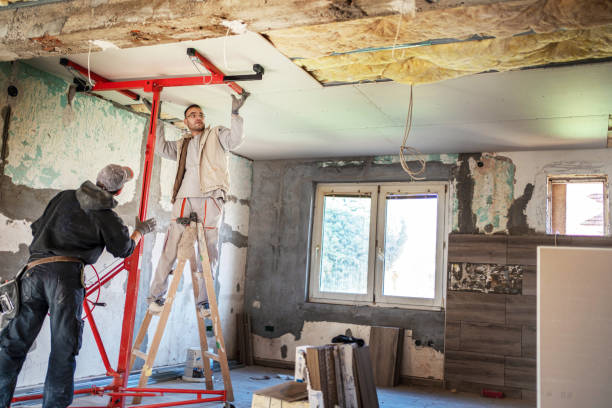 Best Geographic-Specific Insulation Services in Alexandria, VA