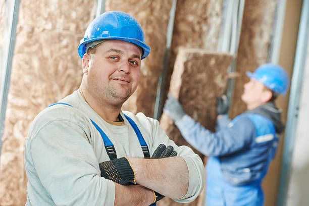 Best Cellulose Insulation in Alexandria, VA