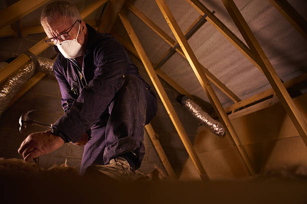 Best Spray Foam Insulation in Alexandria, VA
