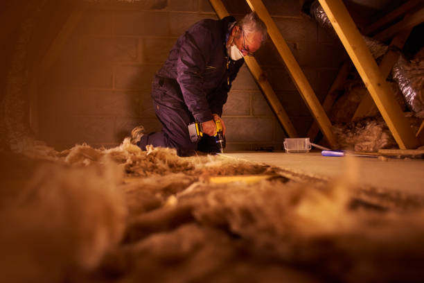 Best Geographic-Specific Insulation Services in Alexandria, VA